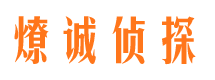 景县情人调查